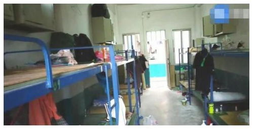 打工妹的抉择 八千月薪的诱惑与第一天离厂的酸楚